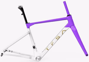 Carbon Gravel Frame JH-37